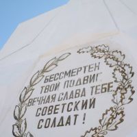 article266.jpg