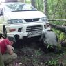 delica    .