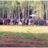 ,  2001